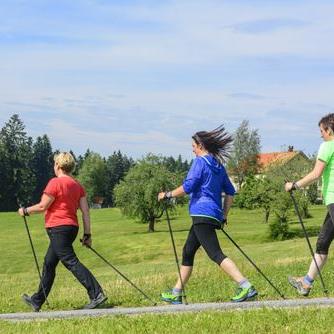 Herz-Kreislauf Schwerpunkt